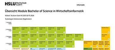 Grafik Curriculum Bachelor Wirtschaftsinformatik
