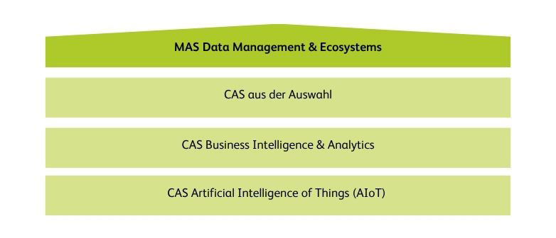 Aufbau MAS Data Management