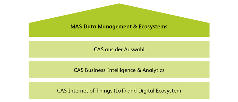 Aufbau MAS Data Management