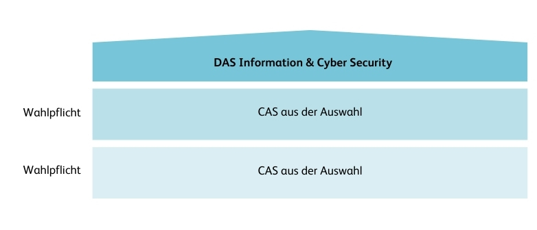 DAS Information Cyber Security