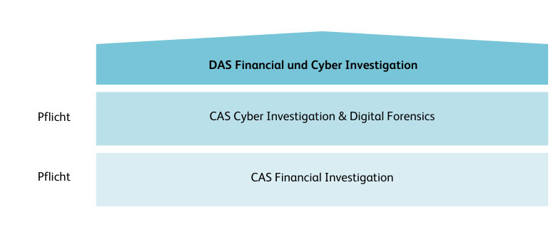 Weiterbildung Financial Cyber Investigation
