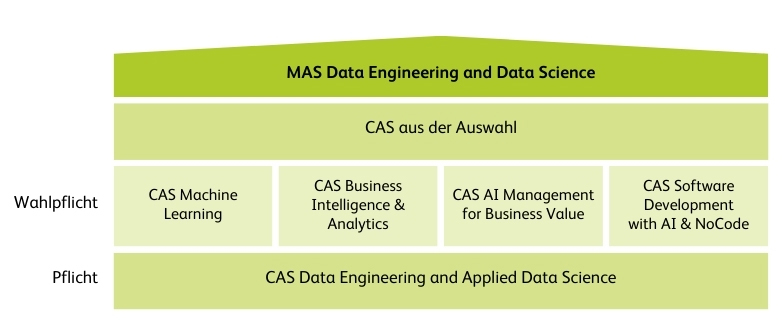 Grafik MAS Data Engineering and Data Science