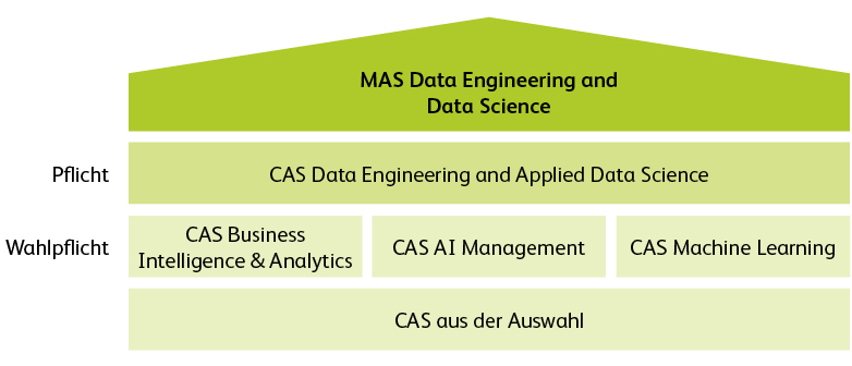 Grafik MAS Data Engineering and Data Science