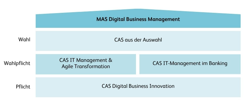 Infografik MAS Digital Business Management