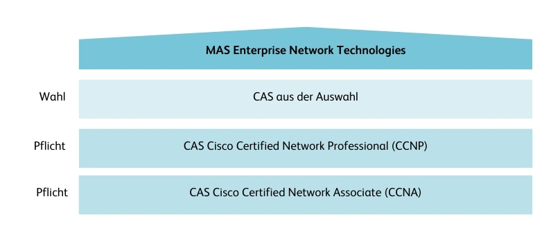 MAS Enterprise Network Technologies