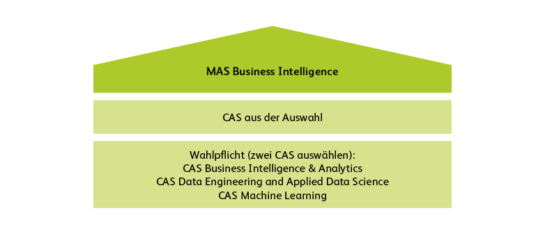 MAS Business Intelligence