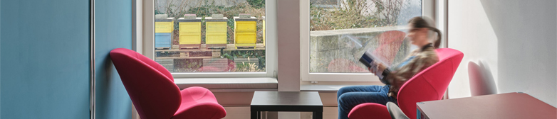 Bibliotheksraum, lesende Person im roten Sessel