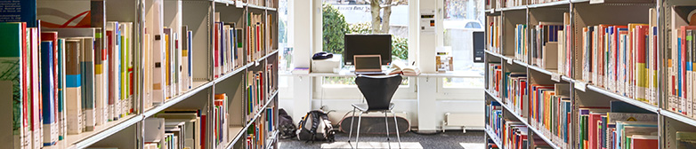 Mediothek PC Arbeitsplatz, Fenster, Bücherregal