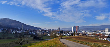 Landschaft mit Wohnhochhäusern