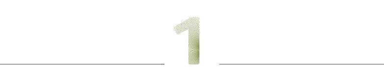 1 – Das Jubiläum in Zahlen