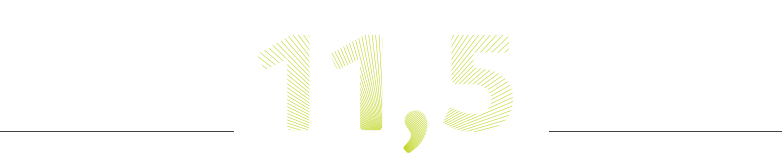 11 – Das Jubiläum in Zahlen