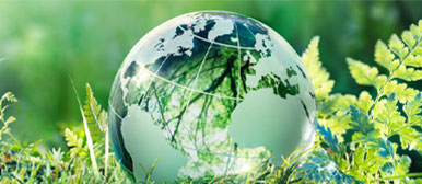 Eine gläserne Weltkugel liegt im Gras