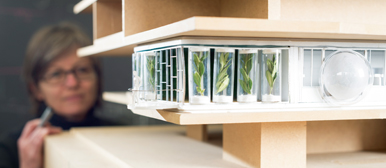 Forschung im Bereich Bau