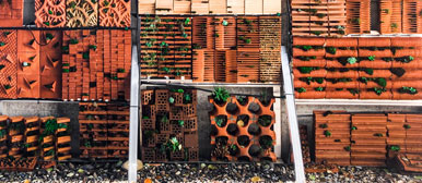 Ziegelsteine mit Moos