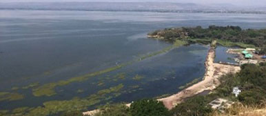 Aussicht vom Tabor Mountain auf eine Meeresbucht mit Strand und Wald