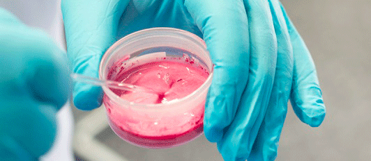 Foto Hände halten ein Becher mit rosa Farbstoff