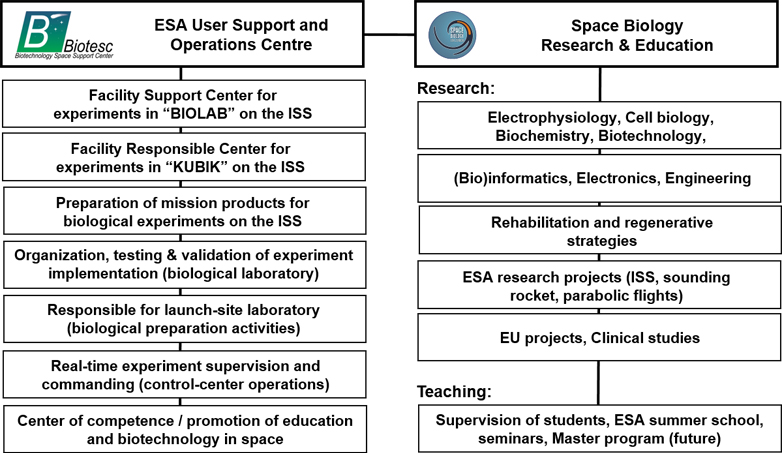 Grafik Dienstleistungen BIOTESC