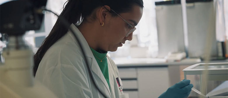 Person im Laborkittel arbeitet konzentriert an einem Experiment im Labor.