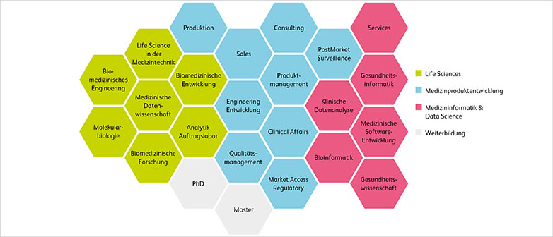Grafik Karrierechancen Medizintechnik | Life Sciences