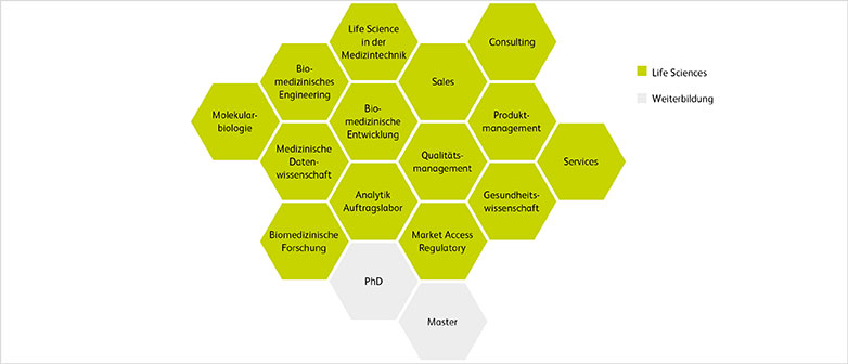Grafik Karrierechancen Life Sciences