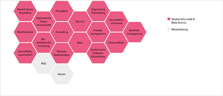 Grafik Karrierechancen Medizininformatik und Data Science