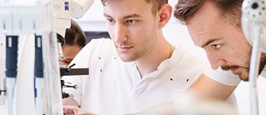 Zur Startseite der Projektmodule für Bachelorstudierende