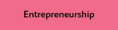 Grafischer Button zum Studienmerkmal: Enterpreneurship