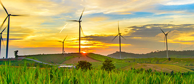 Foto zeigt sechs Windräder bei Sonnenuntergang.