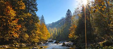 Foto zeigt einen Bach, der sich durch das Tal schlängelt. An beiden Seiten wachsen Bäume und die Sonne scheint.