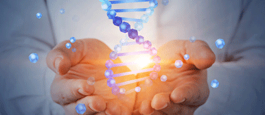 Hände halten DNA klein
