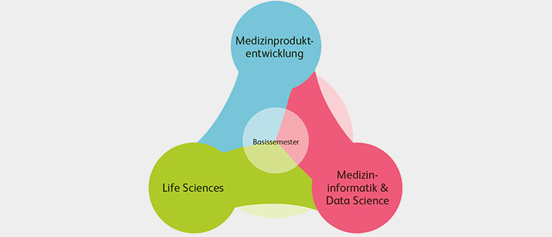 Grafik Aufbau Studium Medizintechnik | Life Sciences