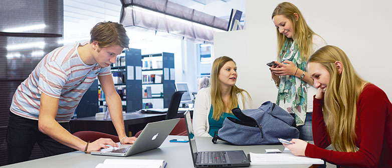 Bachelor Major Value Network Management