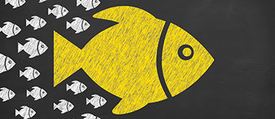 Bild zum Thema Führung