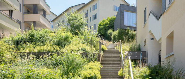 Quartier Weinbergli Luzern