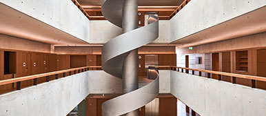 Illustration Porträt IFZ