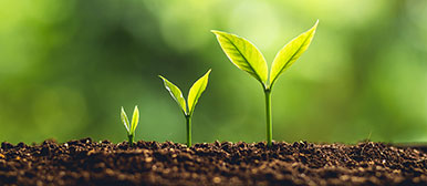 Teaser Geschichte IFZ