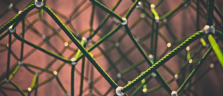 Women's Business Lunch - Vernetzt in der Arbeitswelt der Zukunft