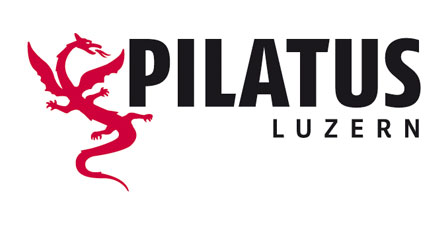 Partner Logo der CARF Luzern