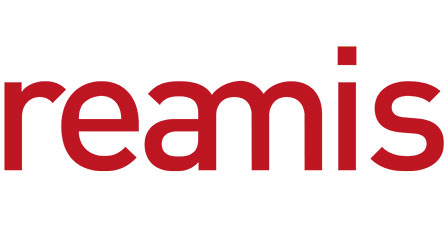 Logo REAMIS