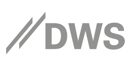 Logo Platinsponsor DWS
