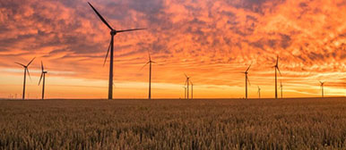 Illustration Sustainable Investments Blog