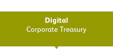 Digital Corporate Treasury