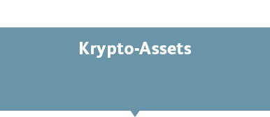 Crypto Assets Study 2021