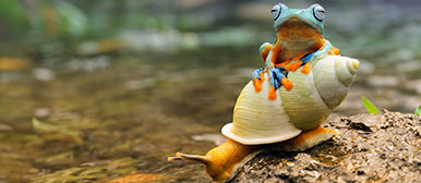 Der Sustainable Investments Day ist ideal für Anlegerinnen, Anleger, Asset Manager, Anlageberaterinnen, Anlageberater und Portfoliomanager von Banken der Schweiz und international.