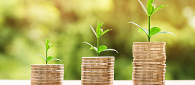 Illustration Thema NPO