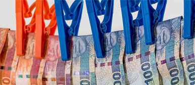 Themenseite Wirtschaftskriminalistik