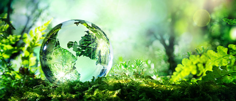 Der Fachkurs vermittelt Grundlagenwissen zum Thema Nachhaltigkeit in der Finanzindustrie.