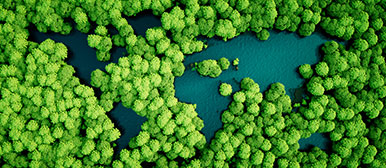 Weltkarte aus Bäumen und Seen