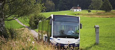 Fernverkehr, Bus im Grünen