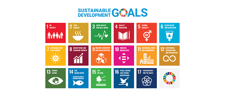 Sustainable Development Goals - SDGs
